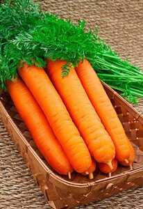 Морковь Самсон 1 гр цв. п.