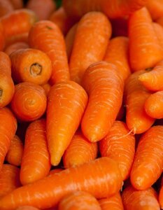 Морковь Шантанэ 2461 10 гр цв. п (Сортсемовощ)