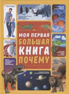 Моя первая большая книга ПОЧЕМУ