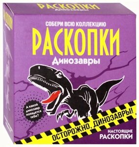 Набор для проведения раскопок Динозавры