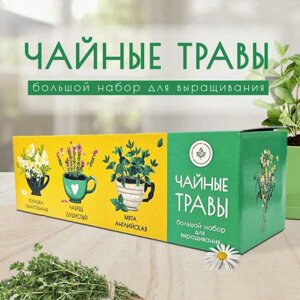 Набор для выращивания растений "Plant Republic", "Чайные травы"