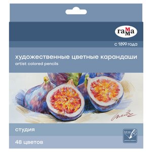 Набор карандашей цветные Гамма "Студия", 48 цв., заточен., картон. упаковка