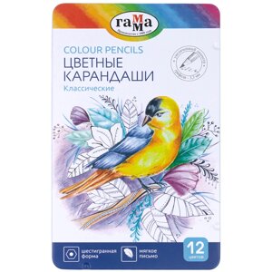 Набор карандашей цветных Гамма "Классические" 12 цв, диаметр грифеля 3,3 мм, заточен., метал. пенал