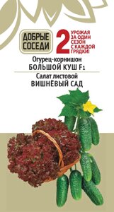 Огурец-корнишон большой куш F1 и салат листовой вишнёвый сад