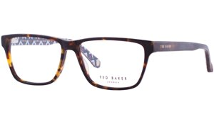 Оправа для очков Ted Baker Duval 8199 145