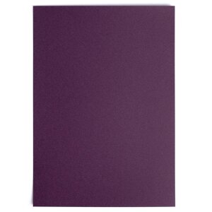 Папка с бумагой для пастели Малевичъ А4, фиолетовая