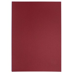 Папка с бумагой для пастели Малевичъ А4, охра красная