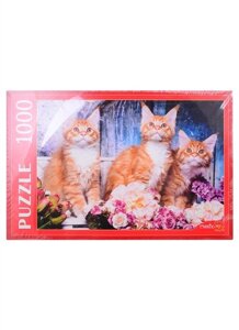 Пазл Рыжие котята мейн-кун, 1000 элементов