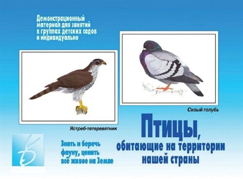 Птицы, обитающие на территории нашей страны. Демонстрационный материал для занятий в группах детских садов и индивидуально
