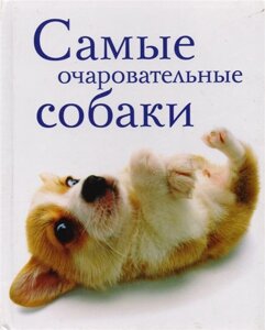 Самые очаровательные собаки