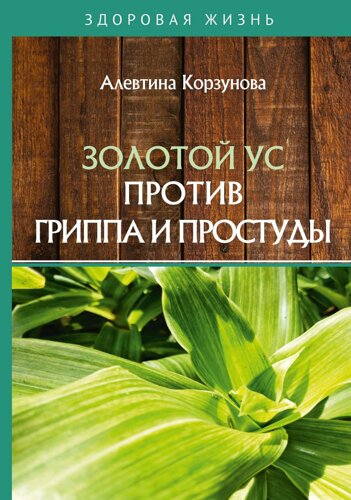 Золотой ус против гриппа и простуды