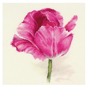 Алиса Набор для вышивания Тюльпаны. Малиновое сияние 22 x 26 см (2-43)