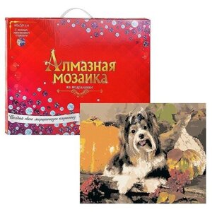 Алмазная мозаика Рыжий кот (классическая) Собачка с тыквами" 40*50 см, с подрамником, с полным заполнением (28 цветов) (AC4056)