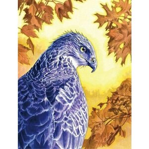 Алмазная мозаика "Сизый орел" на подрамнике 40х50, полная выкладка 35х45 (картина стразами, алмазная вышивка)