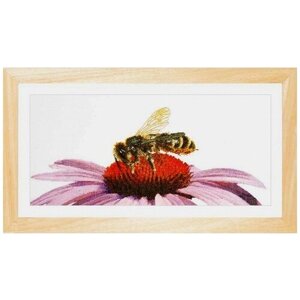 Bee on Echinacea #549A Thea Gouverneur Набор для вышивания 45 x 21 см Счетный крест