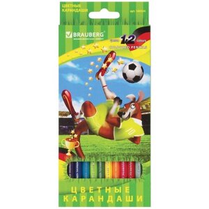 BRAUBERG Карандаши цветные Football match 12 цветов (180534) разноцветный