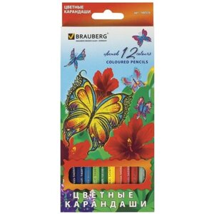 BRAUBERG Карандаши цветные Wonderful butterfly, 12 цветов с блестками (180535)