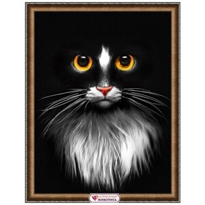 Черный кот Набор для выкладывания стразами 30х40 Алмазная живопись АЖ-1899