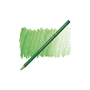 Faber-Castell Карандаш художественный Polychromos, 6 штук 112 лиственный зеленый