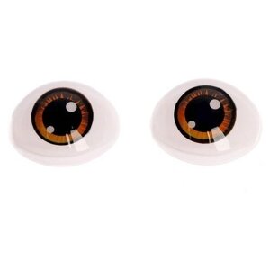 Глаза, набор 10 шт, размер 1 шт: 11,615,5 мм, цвет коричневый