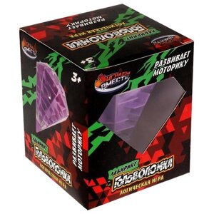 Головоломка Играем вместе Пирамида-лабиринт 2011K106-R фиолетовый