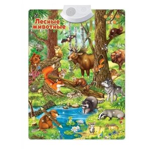 Говорящий электронный плакат ZABIAKA "Лесные животные", работает от батареек, звук, 22 лесных животных, 22 интересных факта, 10 веселых загадок, 10 стишков, от 3 лет