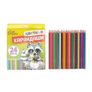 Карандаши 24 цвета, шестигранные, в картонной коробке