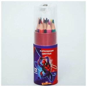 Карандаши цветные с точилкой в тубусе мини, 12 цветов, "Супергерой", Человек-Паук