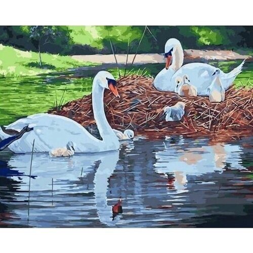 Картина по номерам 000 Art Hobby Home Лебединое озеро 40х50