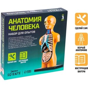 Набор для опытов Эврики "Анатомия человека", биология, строение тела, 25 см