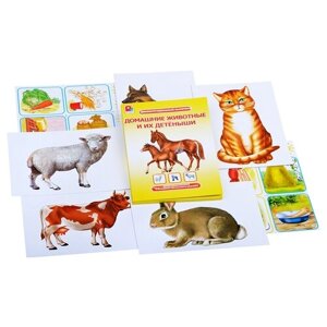 Набор карточек Радуга Домашние животные и их детеныши 36 шт.