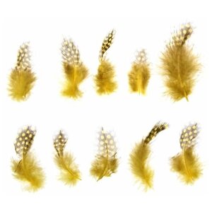 Набор перьев для декора 10 шт., размер 1 шт: 5 2 см, цвет жёлтый с коричневым. В упаковке: 1