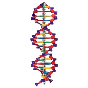 Набор Сима-ленд Строение молекулы ДНК, разноцветный