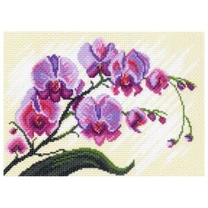 Орхидеи, композиция Рисунок на канве 28/37 28х37 (18х25) Матренин Посад 1318-1