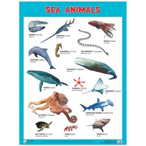 Плакат Мозаика-Синтез SEA ANIMALS (Морские обитатели)