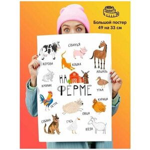 Постер плакат Животные на ферме пособие для детей учим зверей 2 года