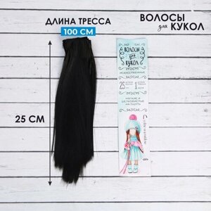 Школа талантов Волосы - тресс для кукол Прямые длина 25 см, ширина 100 см 26 г