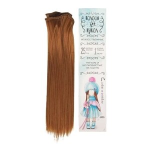 Волосы - тресс для кукол Школа талантов "Прямые" длина волос: 25 см, ширина:100 см, цвет № 27А