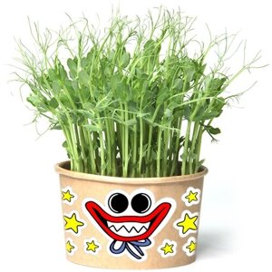 Зеленям Хагги - Вагги (игрушка травянчик со съедобными гороховыми кудряшками) минисад - свежая зелень