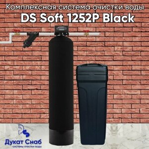 Автоматическая система очистки воды DS 1252P black под загрузку. Комплект фильтр умягчения и обезжелезивания воды для дома, квартиры и дачи. Потребители до 4 человек.