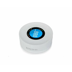 Автономный датчик угарного газа для загородного дома с тревожным сигналом - Страж-Газ PA-007 (S18784PA0) (LCD экран, светозвуковое оповещение)
