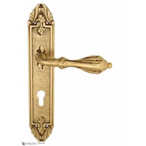 Дверная ручка на планке Venezia ANAFESTO CYL PL90 французское золото + коричневый