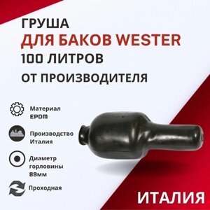 Груша Wester 100 литров, проходная (grushaWester100proh)