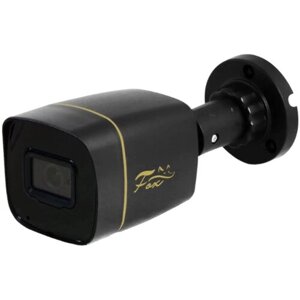Камера видеонаблюдения уличная Fox FX-P2C 2 Мп