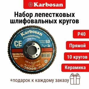 Круг лепестковый 10 шт. CEY51 (P40) D125/22 мм Karbosan / круг торцевой прямой, керамика