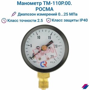 Манометр ТМ-110Р. 00 (0.25 МПа) М10х1: класс точности-2,5 росма