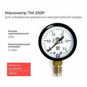 Манометр ТМ-210P. 00(0-2.5 MРа)G1/4 класс точности 2,5 диаметр 50 мм.