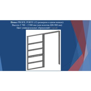Пенал PROFIL PORTE (2700-2900) для раздвижных дверей (Серое обрамление)