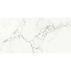 Плитка из керамогранита Absolut Gres 1112G Carrara Classic полир для стен и пола, универсально 60x120 (цена за 1.44 м2)