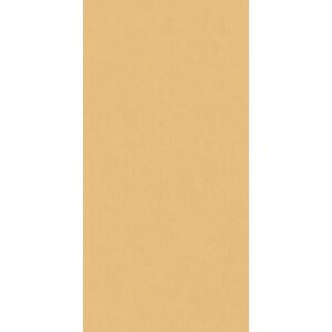Плитка из керамогранита Italon 610015000437 серфейс САН ПАТ. Универсальная плитка (60x120) (цена за коробку 1.44 м2)